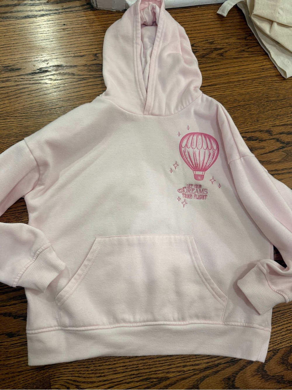 Wicked Pastel Pink Hoodie with Hot Air Balloon Graphic
